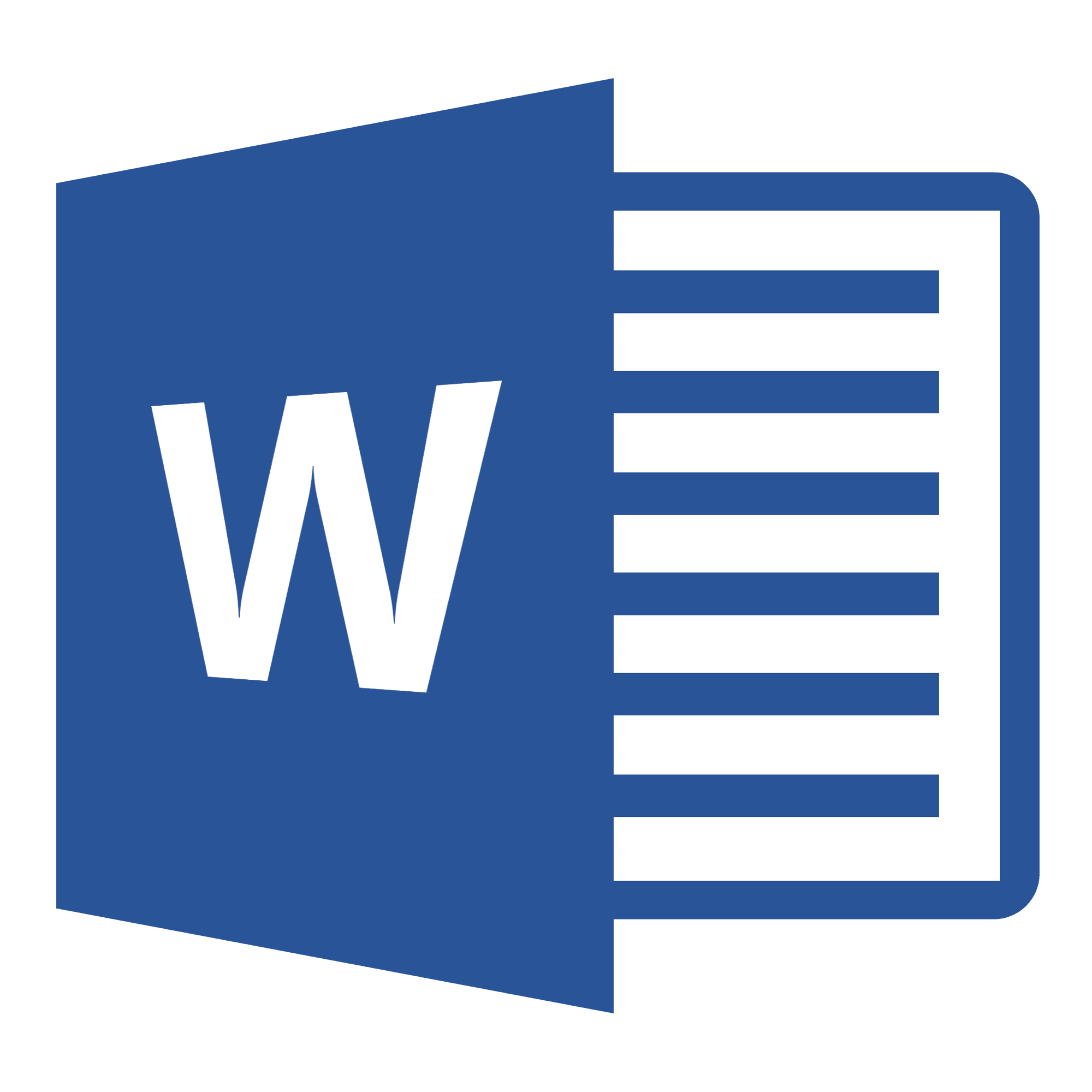 Microsoft Word
